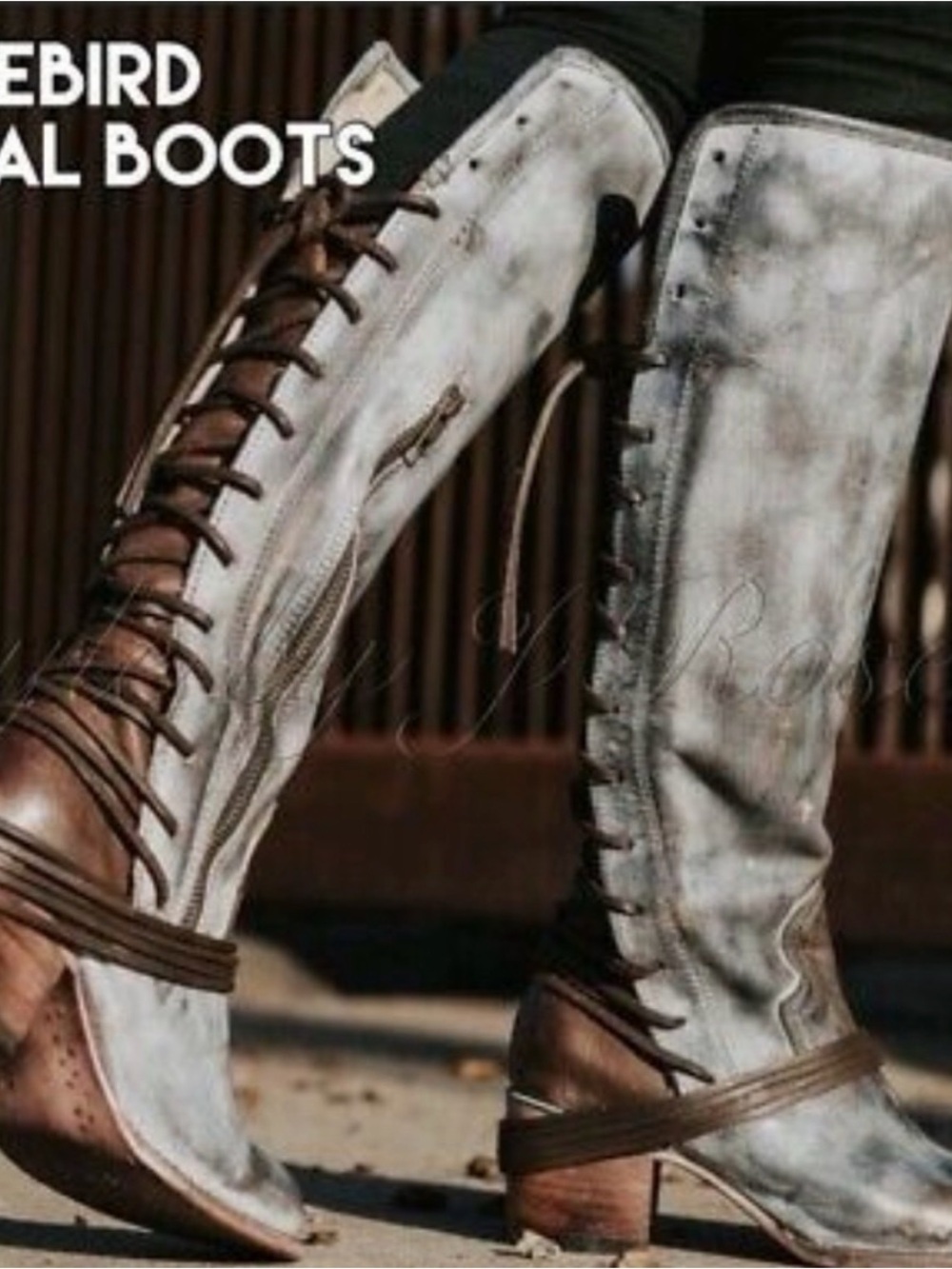 Freebird by Steven Two-Tone Lace-Up Knee Boots in White and Brown